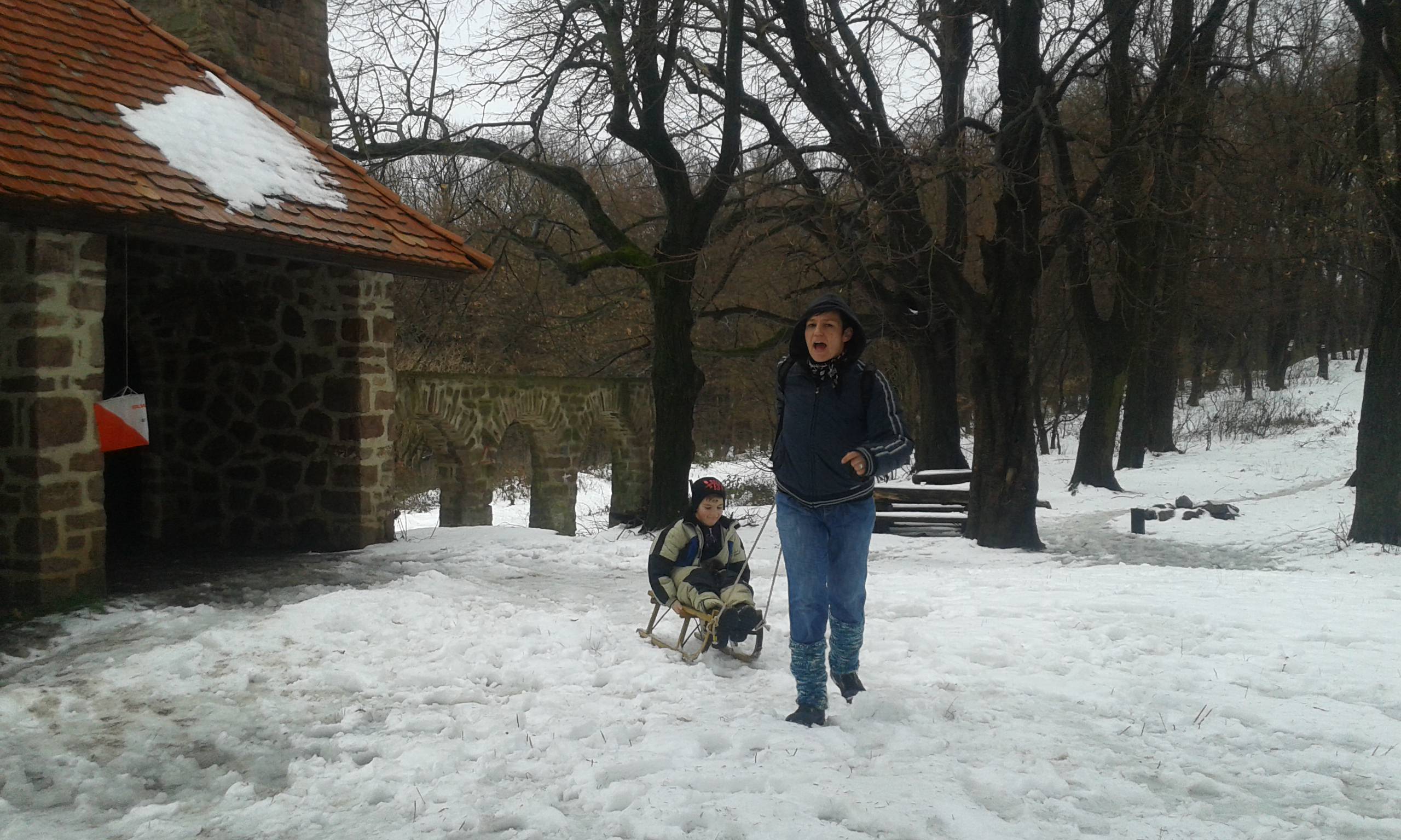 TeliesMecsek2016 6 mini